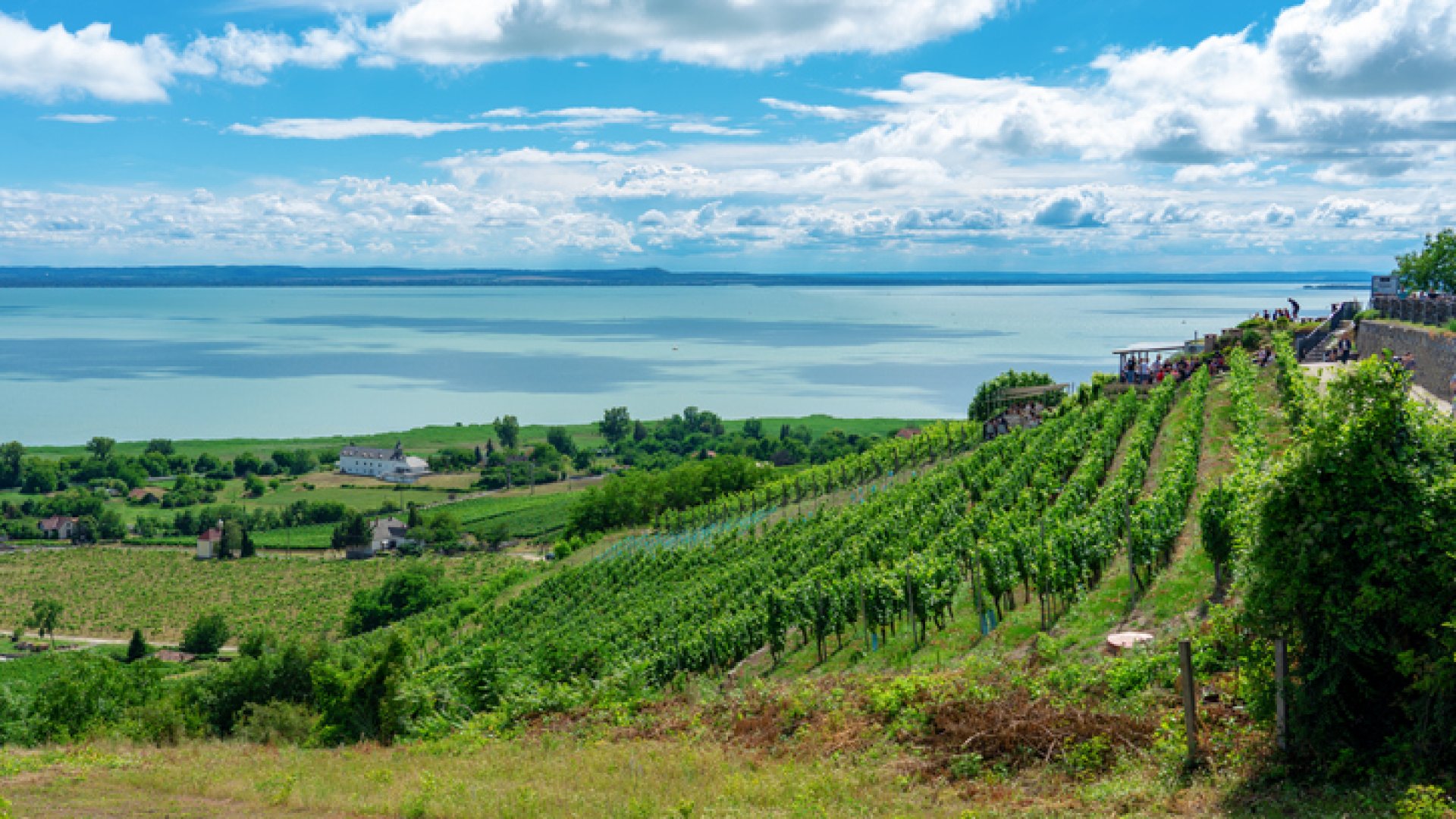 5 Balaton felvidéki pincészet, ahol isteni borokat kóstolhatsz!