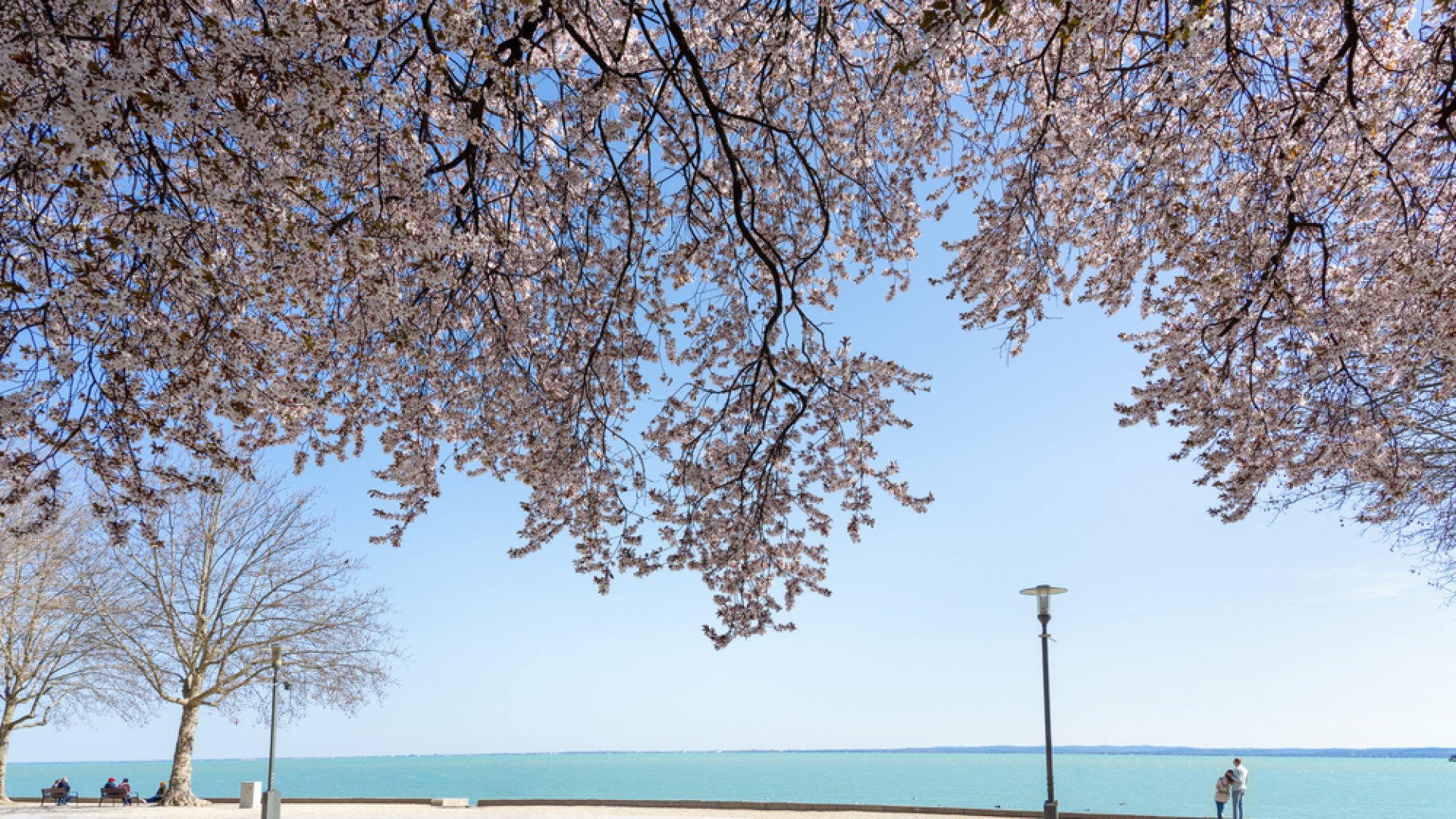 5 különlegesen izgalmas látnivaló a Balaton-felvidéken 2022 tavaszára