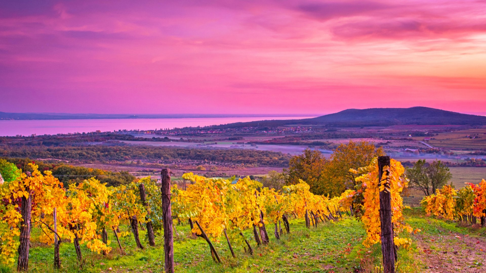 3 különleges balatoni bor, 3 különleges balatoni boros élmény 2022-re