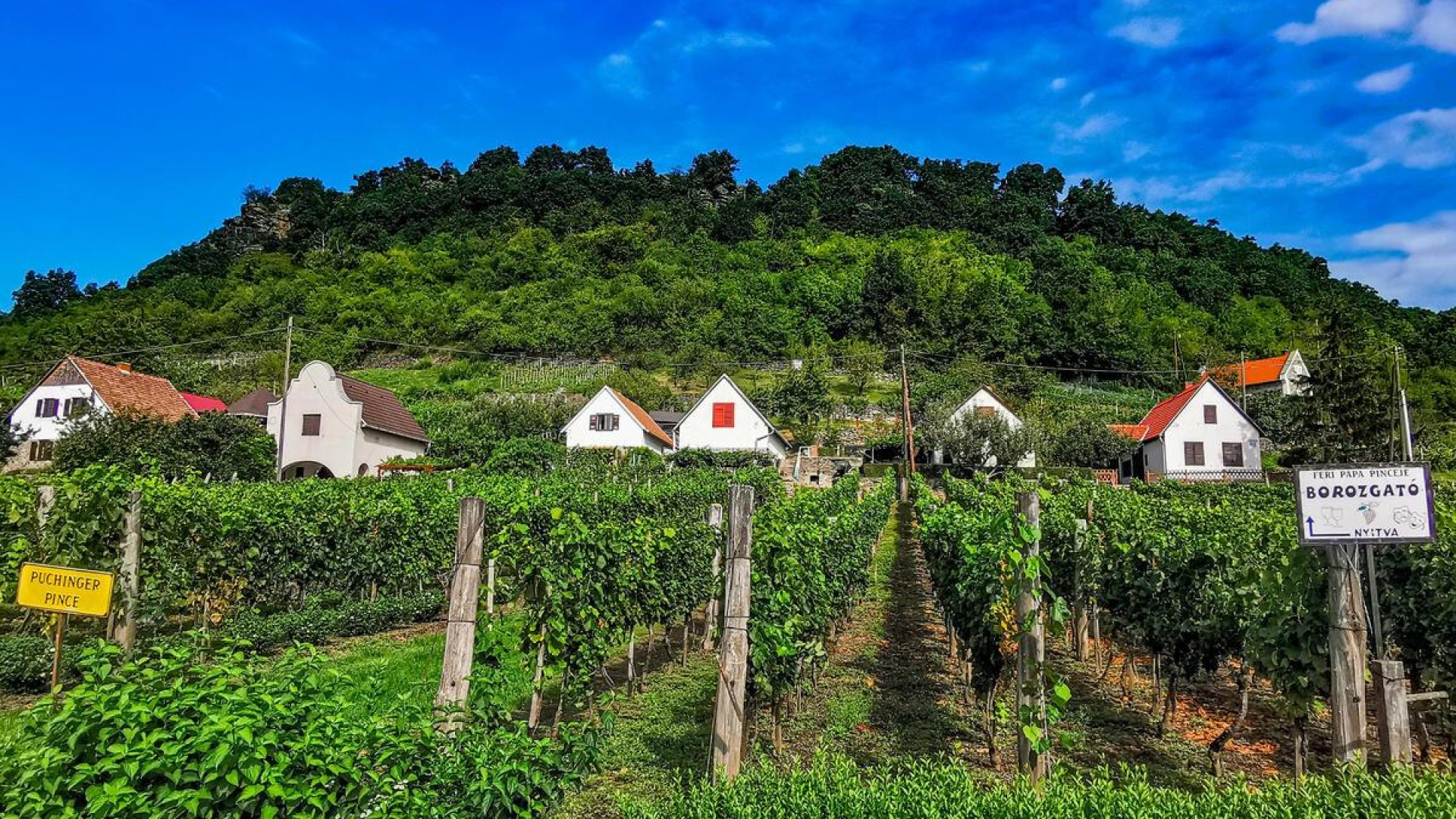 Fedezze fel a varázslatos Somlót ezzel az 5 izgalmas programmal!