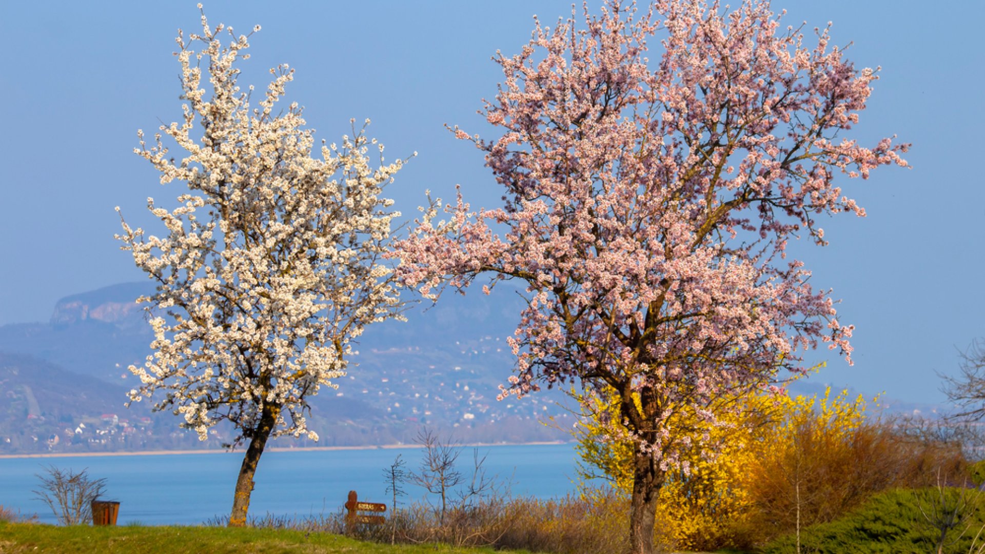 5 kihagyhatatlan kirándulóhely a Balatonnál 2022 tavaszára