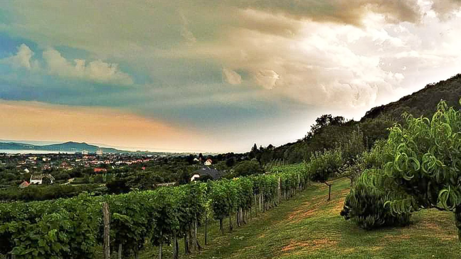 5 eldugott őszi kirándulóhely a Balatonnál idén őszre