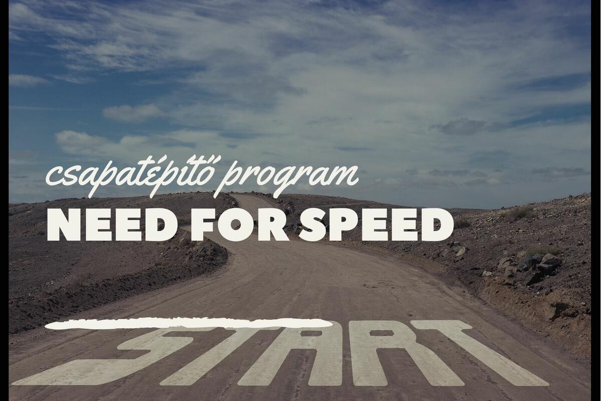 Csapatépítő programok: Need for Speed