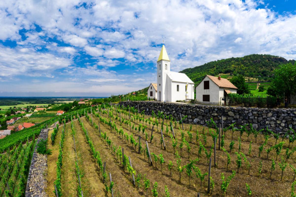 Magyarország legjobb borait mérik itt: A Somló legjobb borászatai