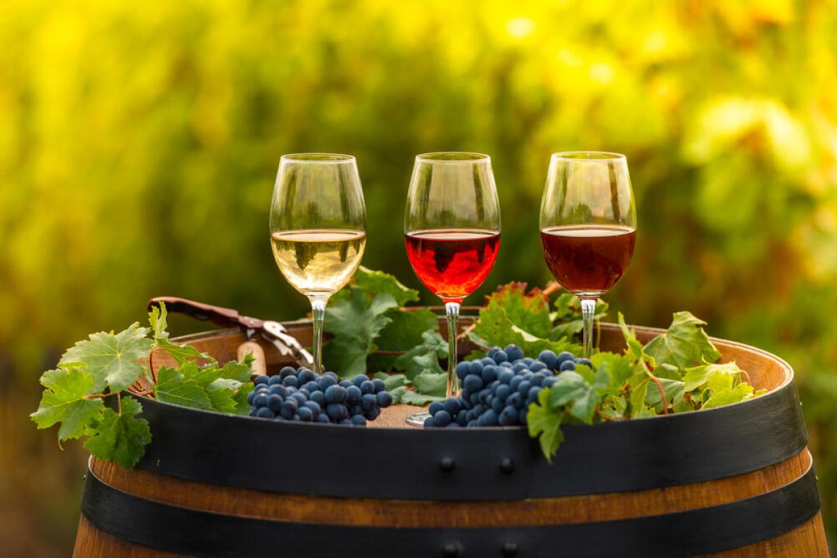 Borkóstoló kisokos: útmutató a borok kóstolásához
