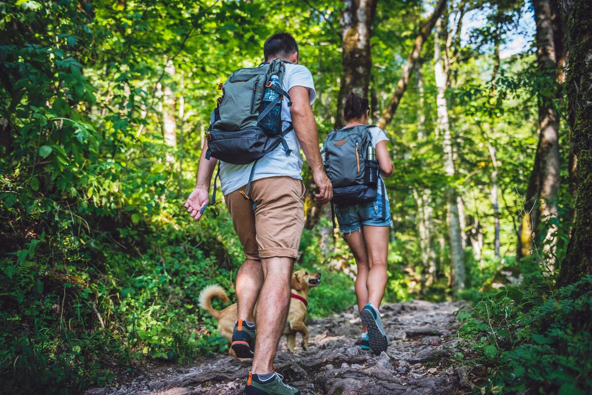 5 Balaton-felvidéki túraútvonal az őszre a kirándulások kedvelőinek