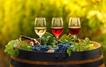 Borkóstoló kisokos: útmutató a borok kóstolásához