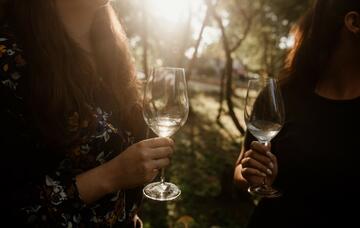 Gasztrotúra a Balaton-felvidéken